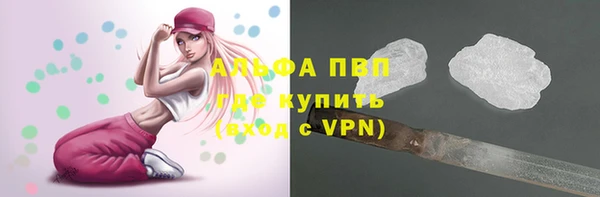 таблы Пересвет