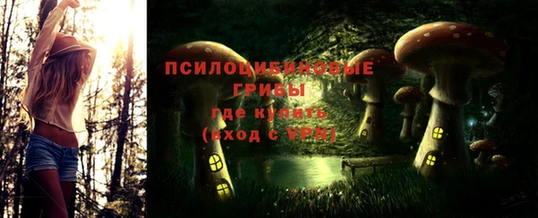 таблы Пересвет