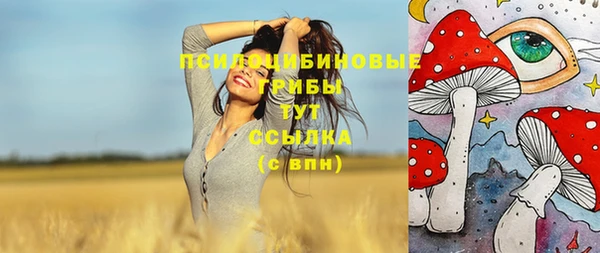 твердый Пестово